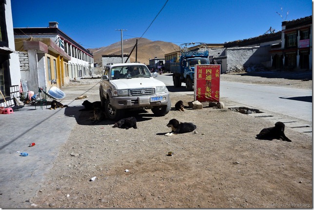 101105_P1020445_China, in Tibet, Dorf, Auto, Straßenhunde
