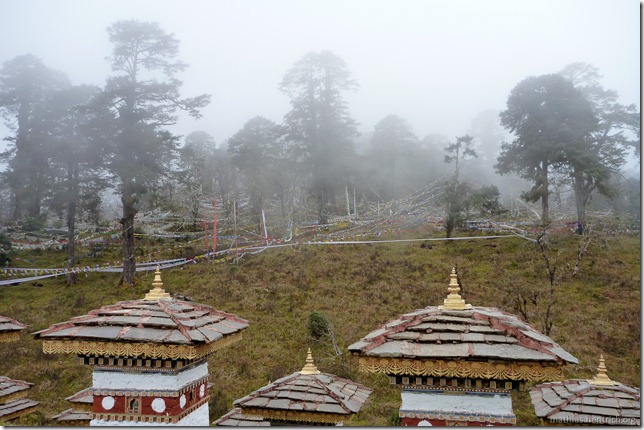 101120_P1030498_Bhutan, , Dochu La 108 stupa, Aussicht in Wald